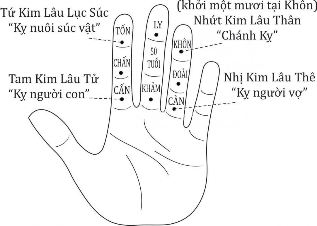 Cách tính Kim Lâu bằng ngón tay