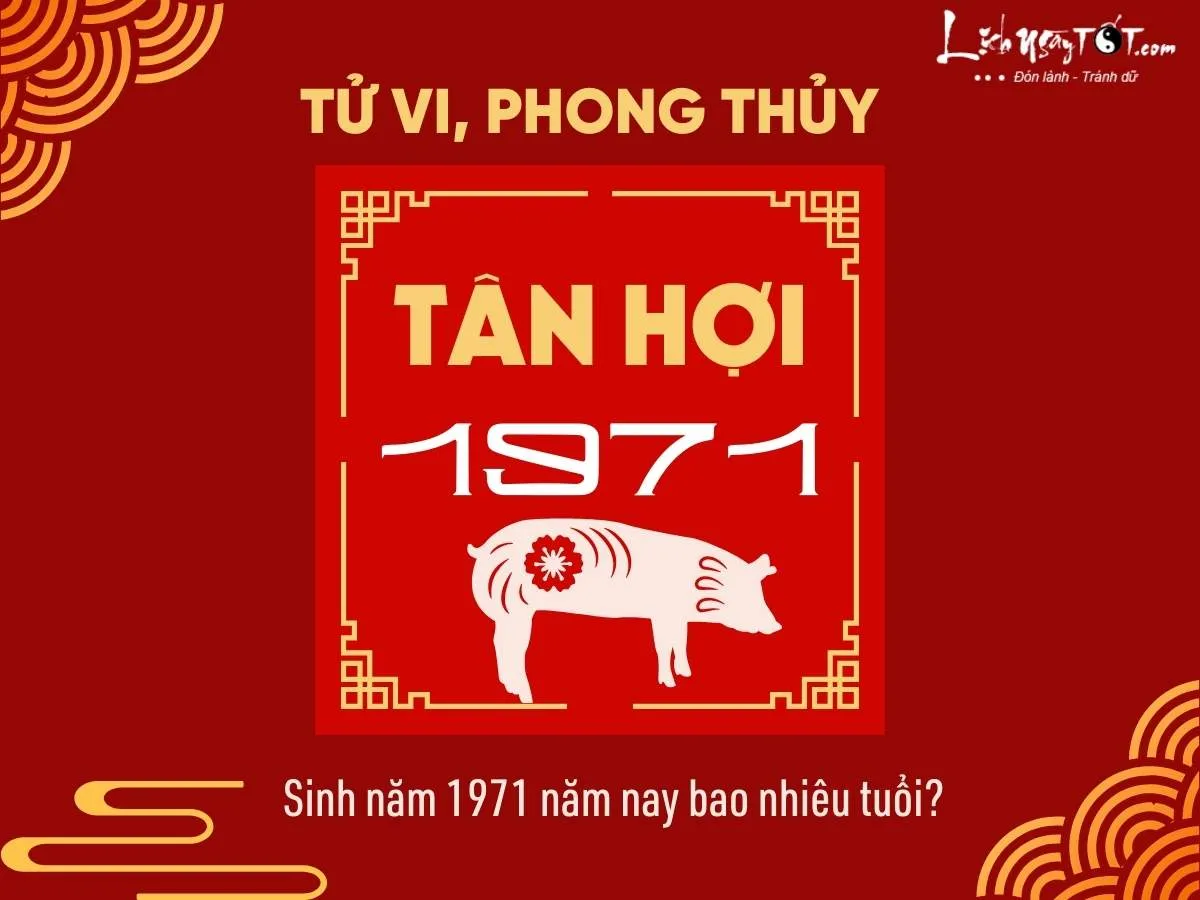 Sinh năm 1971 bao nhiêu tuổi?