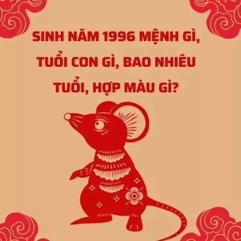 Người sinh năm 1996 mệnh gì, tuổi con gì, bao nhiêu tuổi?