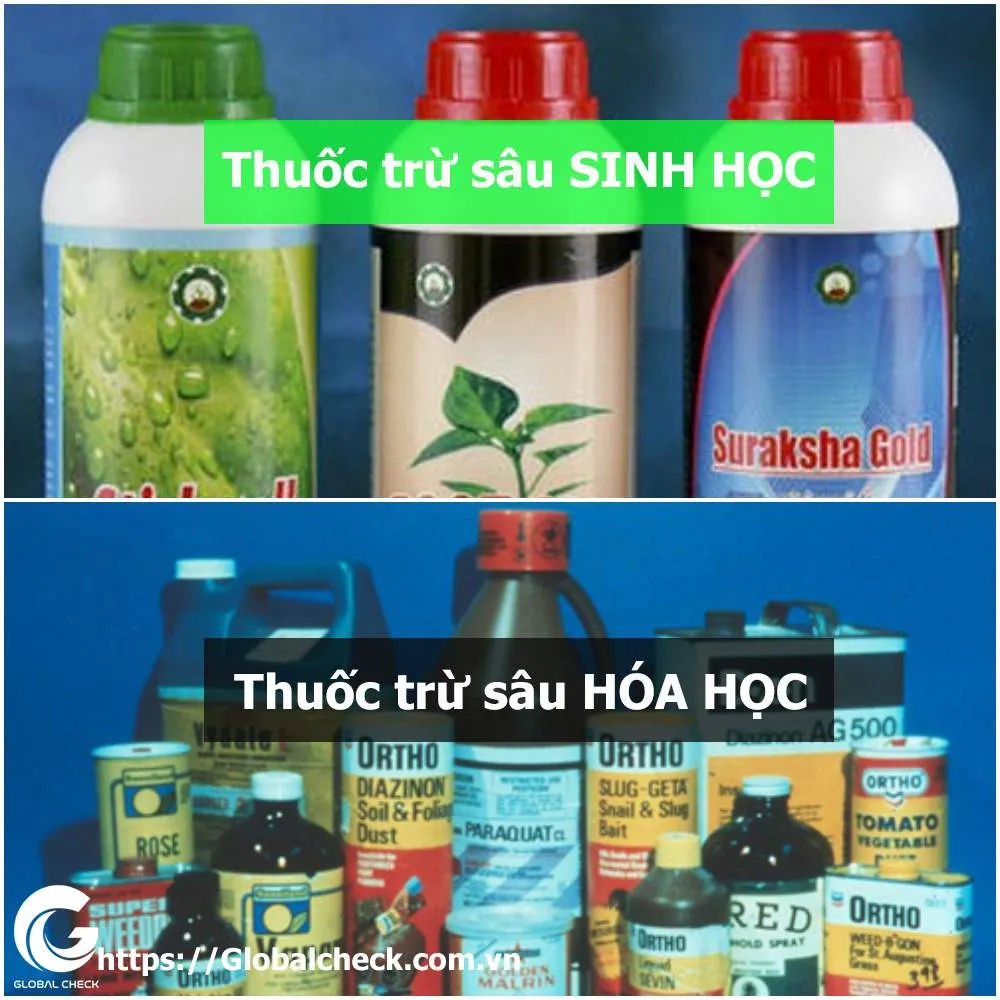 alt Thuốc trừ sâu sinh học và hóa học