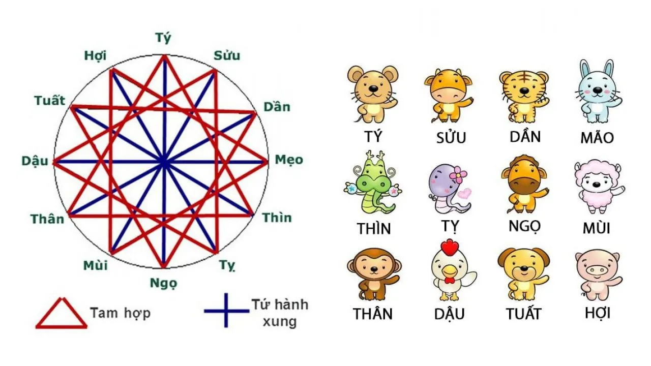 alt text: Hình ảnh minh họa tam hợp Tỵ Dậu Sửu