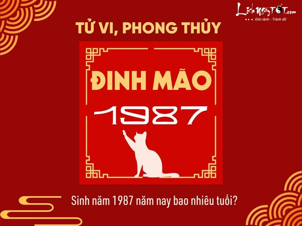 Sinh năm 1987 bao nhiêu tuổi?