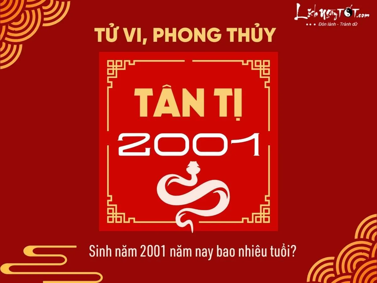 Sinh năm 2001 mệnh gì?