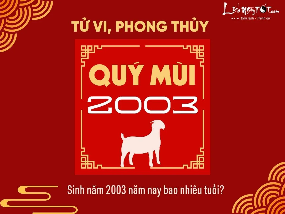 Sinh năm 2003 năm nay bao nhiêu tuổi?