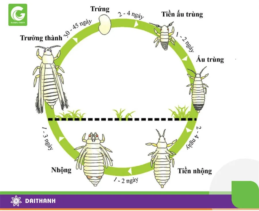 Sâu bệnh gây hại trên cây trồng