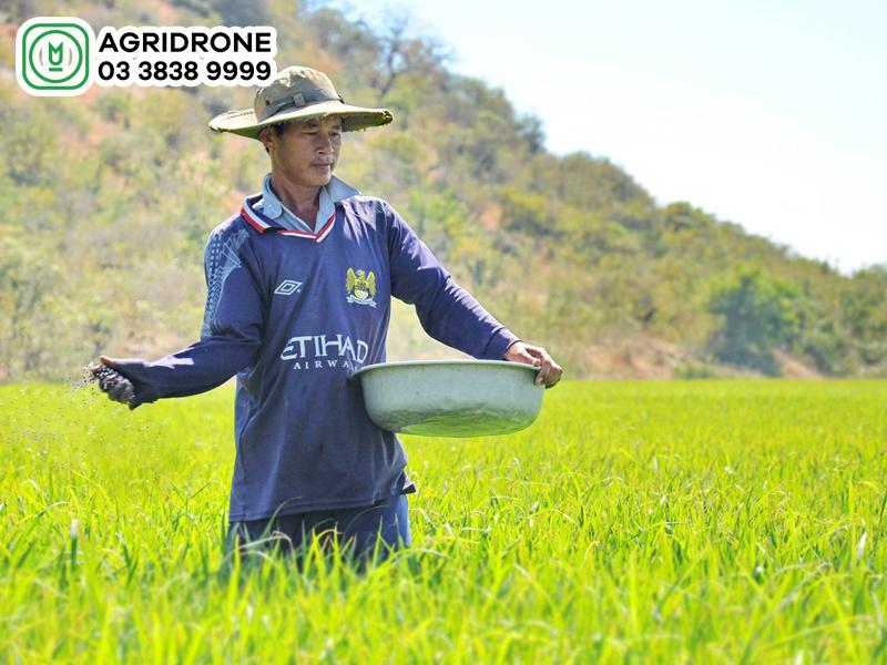 Cách Bón Phân Hiệu Quả