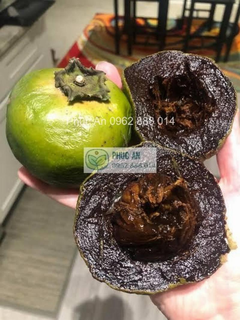 Đất sét nặng, không thích hợp trồng hoa hồng