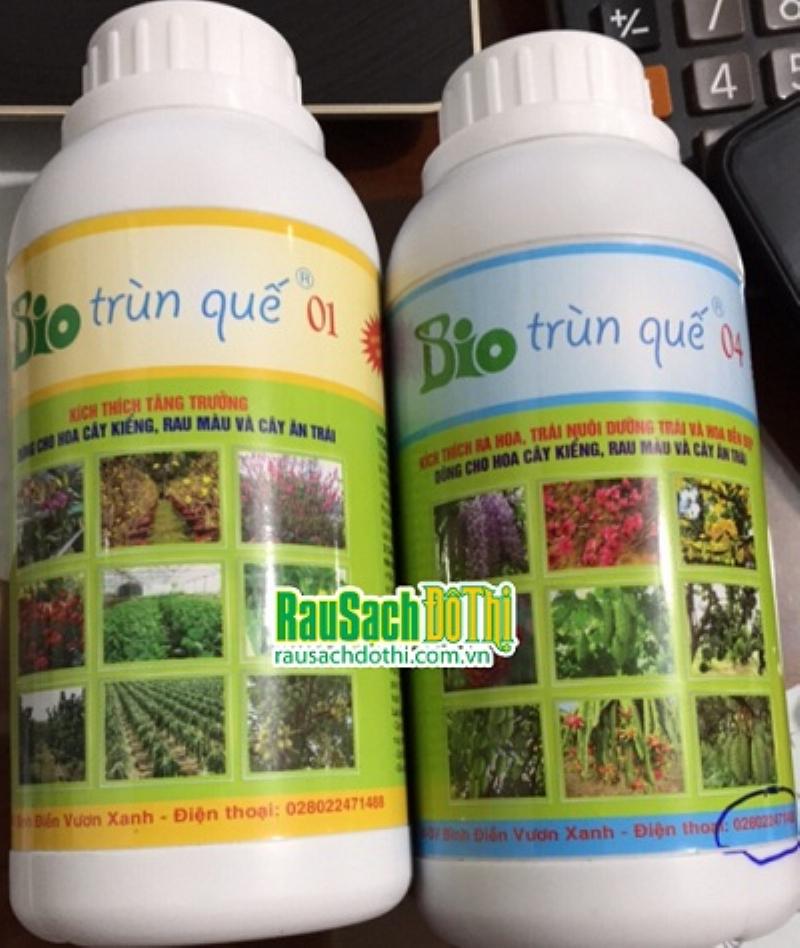 Dịch trùn quế giúp cây trồng khỏe mạnh