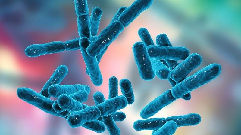 Cách bảo quản chế phẩm Bacillus subtilis an toàn và hiệu quả