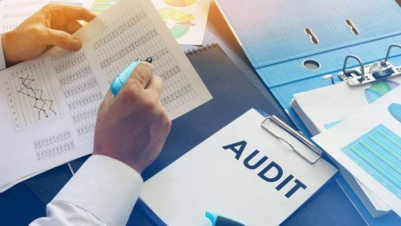 Minh họa các bước thu hoạch vải thiều cẩn thận từ trên cao xuống rổ đựng