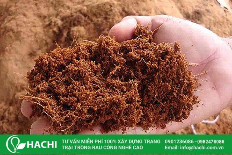 Các loại đá hạt và giá thể trơ phổ biến dùng để trồng cây như perlite, sỏi nhẹ, vermiculite, đá nham thạch