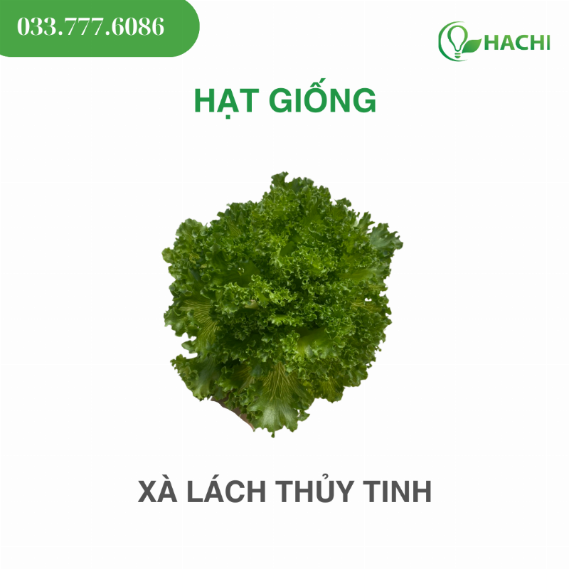 Đa dạng các loại phân bón, hạt giống và vật tư nông nghiệp tại cửa hàng giúp bạn có nhiều lựa chọn.