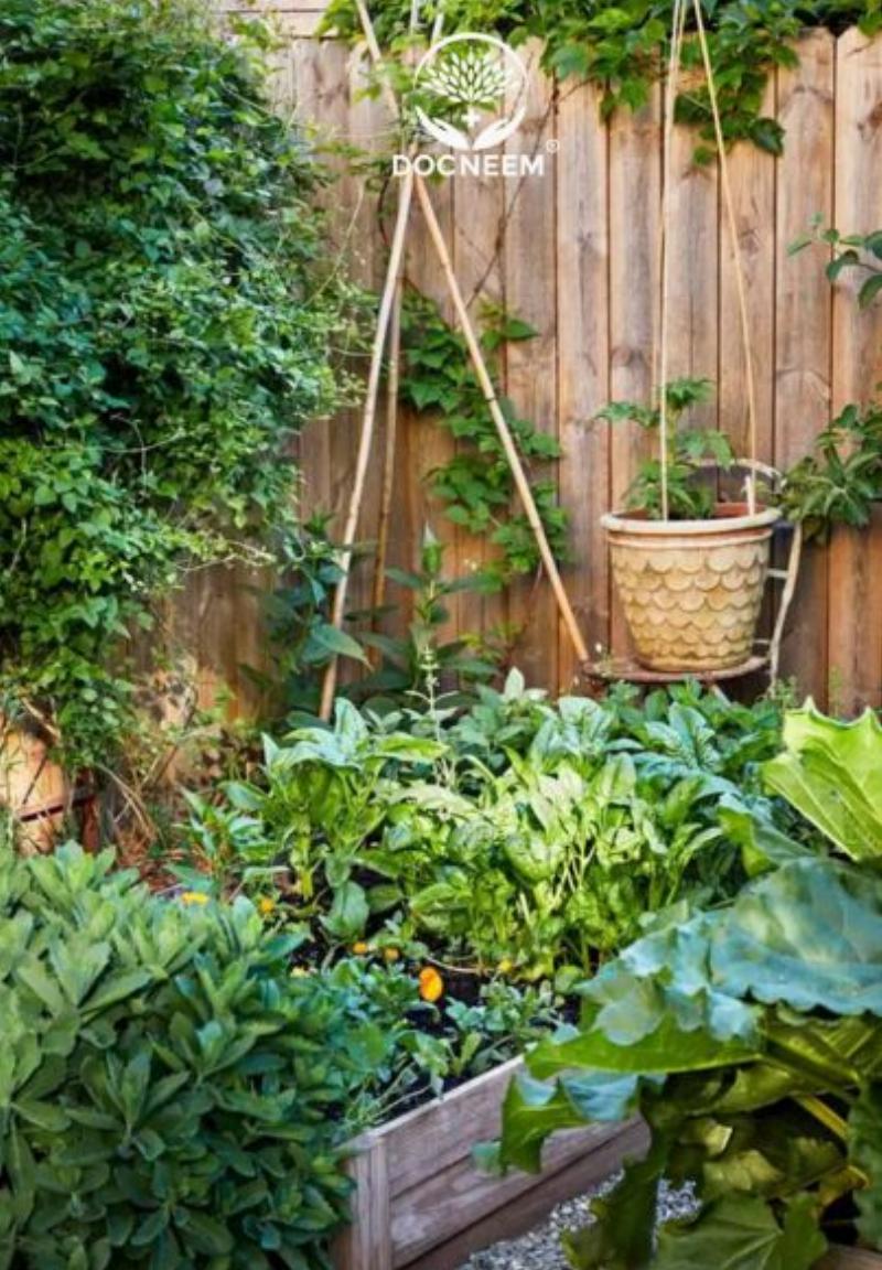 Một rổ đầy các loại rau xanh tươi tốt thu hoạch được khi trồng vào tháng 3, minh chứng cho sự chăm sóc đúng cách.