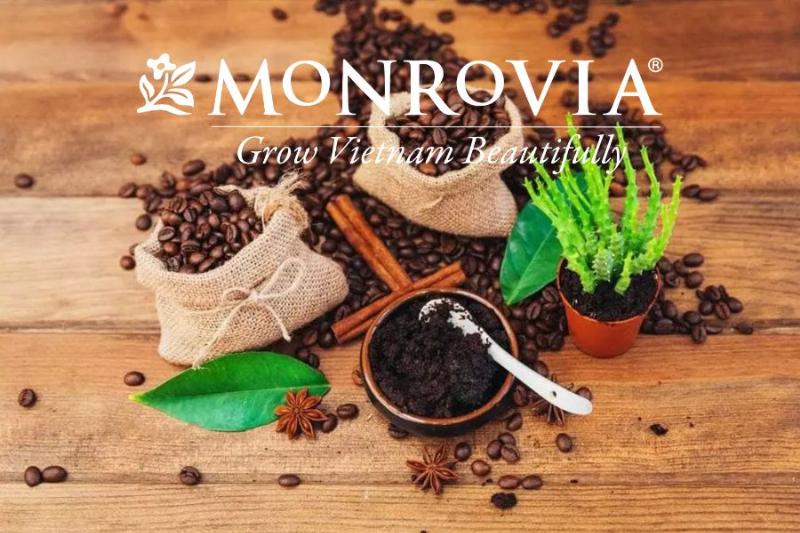 Cây trồng thích hợp với bã cafe