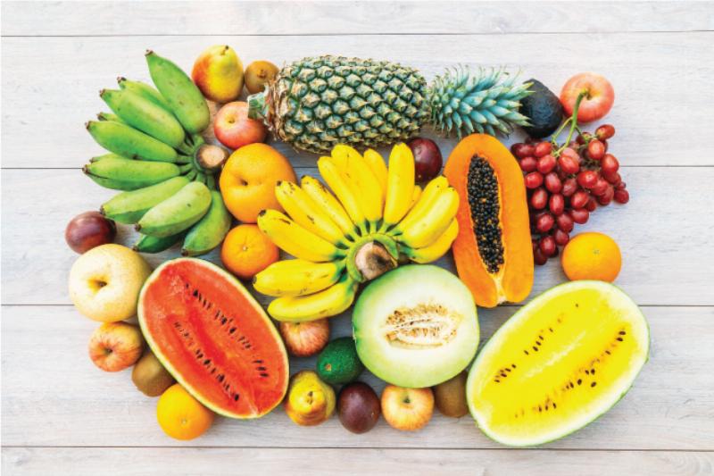 Minh họa các bước chăm sóc cơ bản giúp cây hoa hồng leo Pháp cây con tránh sâu bệnh hiệu quả