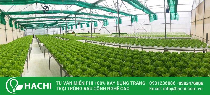Chuyên gia tư vấn tận tình tại cửa hàng vật tư nông nghiệp giúp bạn lựa chọn sản phẩm phù hợp và kỹ thuật canh tác hiệu quả.