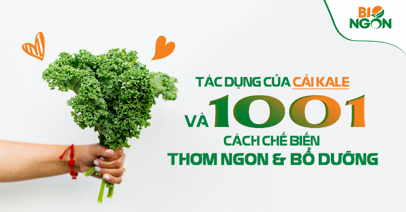 Món ăn ngon miệng sử dụng các loại rau ăn lá tươi ngon, gợi ý bữa ăn dinh dưỡng