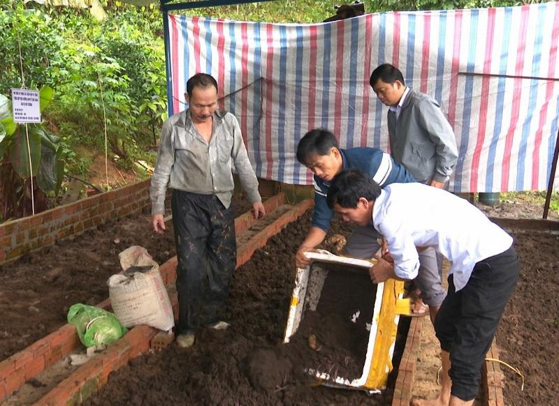 Quản lý thức ăn và chất thải trong chuồng nuôi giun quế