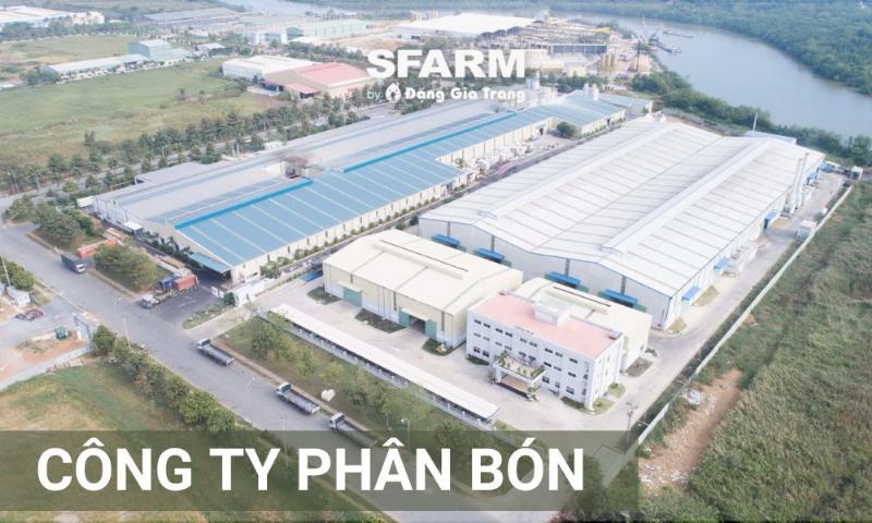 Hướng dẫn chọn phân bón đúng loại từ nhà cung cấp uy tín cho cây trồng
