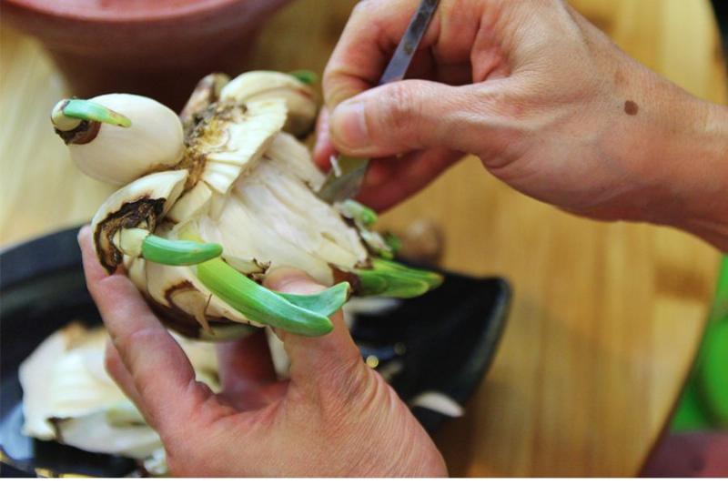 Hình ảnh các dụng cụ cần thiết để thực hiện cách gọt hoa thủy tiên tại nhà, bao gồm dao, củ, và chậu nước