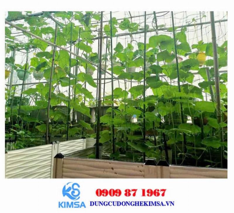 Hướng dẫn làm giàn đơn giản hiệu quả cho cây đậu cove leo dễ dàng bám trụ phát triển