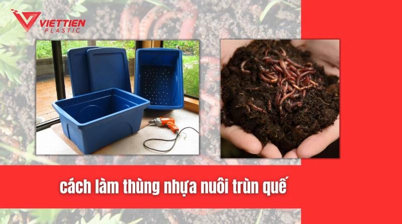 Thùng nuôi trùn quế trong nhà đơn giản hiệu quả